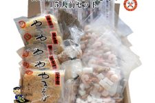 富士宮-海鮮(塩)やきそば5人前セット